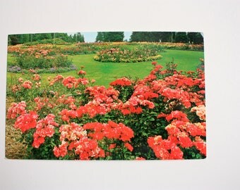 Flowers in Stanley Park Vancouver Postcard / British Columbia Postcard / Gardens postcard