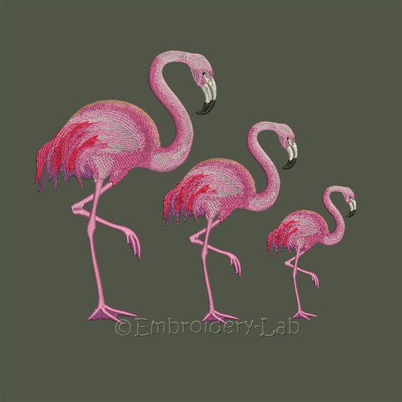 step step card make by machine 0001 embroidery Flamingo designs