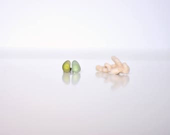 Sea glass earrings, Sea glass jewelry, Beach glass studs, Sea glass stud earrings, Genuine sea glass stud earrings, Green sea glass studs