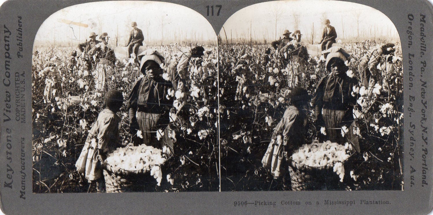 Black Americana Slaves Picking Cotton on a Mississippi