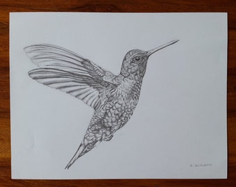  Hummingbird drawing Etsy