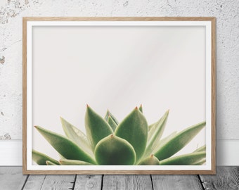 Succulent, Succulent print, Plant print, Minimalist print, Minimalist art, Botanical print, Cactus art, Succulent art print, Trending gifts