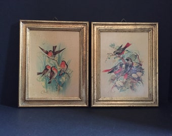Florentia Framed Wooden Bird Plaques