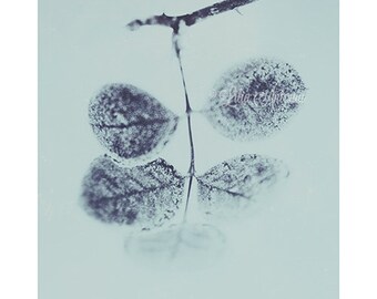 Frozen Nature Photography Pale Blue Art Mint Bedroom Wall Decor Fine Art Photography Winter Picture Gentle Blue Art Relaxing Living Home Art