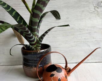 Vintage Metal Watering Can with Long Spout