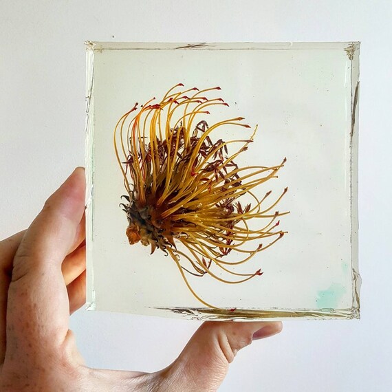 Resin Art//Nature Art//Botanical Wall Art//Original Flower