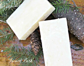 Luxury Mens Soap - Fathers Day Gift - Forest Scented Soap - All Natural Essential Oils Soap - Oregon Made Rustic Soap - Homemade Soap
