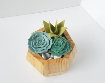 Felt Succulent Planter