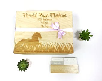 Large Memory box, horse, baby box