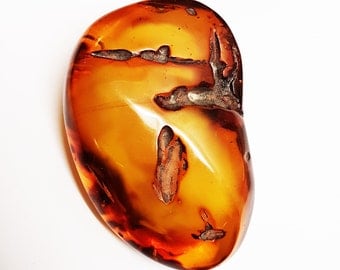 Perfect for amber collectors!!! Huge Baltic Amber 220g.
