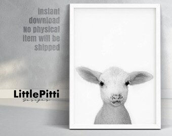 Lamb print, baby sheep wall art, little lamb photo, black white grey wall art, nursery farm animal decor, minimalist art, cute lamb print