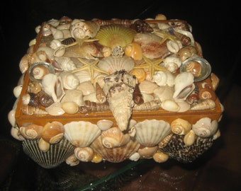 Slide Open Seashell Treasure Box/Jewelry Box/Shells on Wooden Cigar Box