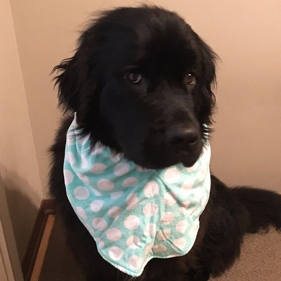 Polka Dot Bib for Extra Large Dogs Saint Bernard/ Mastiff/