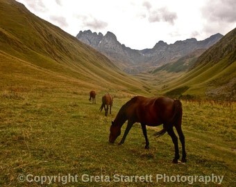 Horses in the Mountains, Republic of Georgia, Color