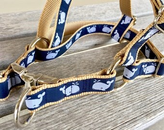 Step-in Dog Harness, Choose Your Style, 1" Wide Dog Harness, Medium or Large Breed Dog Harness
