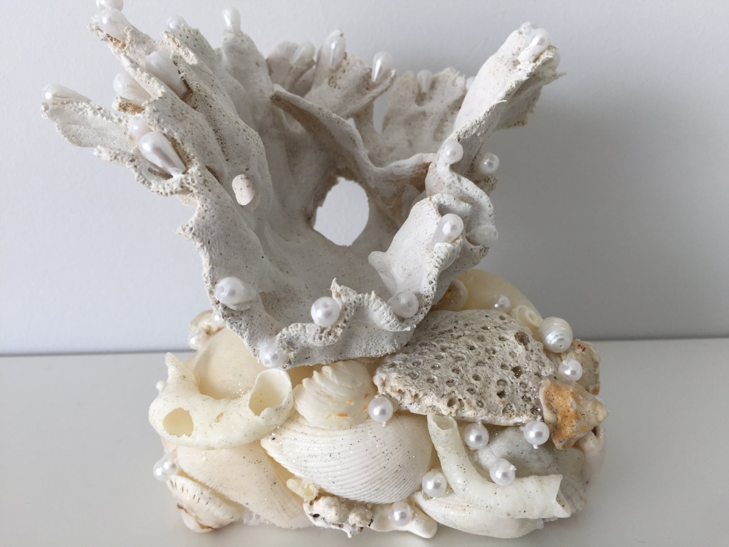 coral seashells Coastal Nautical Beach decor