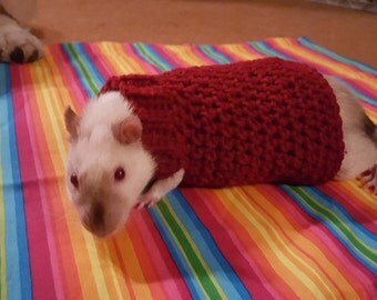 Crochet Rat Sweater