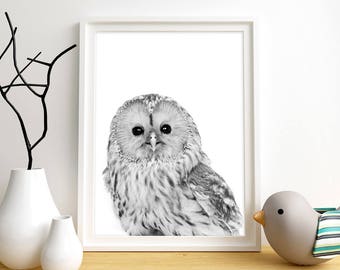 Owl Print, Owl Wall Art, Woodland Animal Wall Art, Baby Animal Print, Instant Digital Download, Black & White Wall Art, Bird Wall Art Print