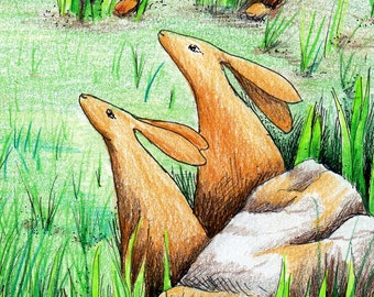 Stargazing Hares at Yule Christmas card blank greetings card, Celebration