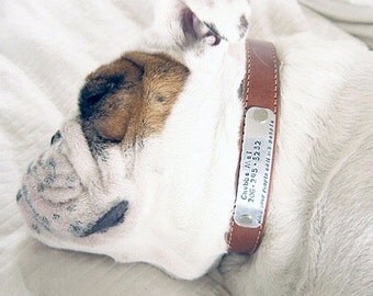 Personalized Custom Leather Dog Collar / Pet Gifts / Custom Dog Tags for Pets / Hand Stamped / Pet ID Tag / Personalized Custom Dog Tag