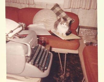 Vintage Snapshot "Office Kitty" Tabby Cat Manual Typewriter Mid-Century Furniture Found Vernacular Photo
