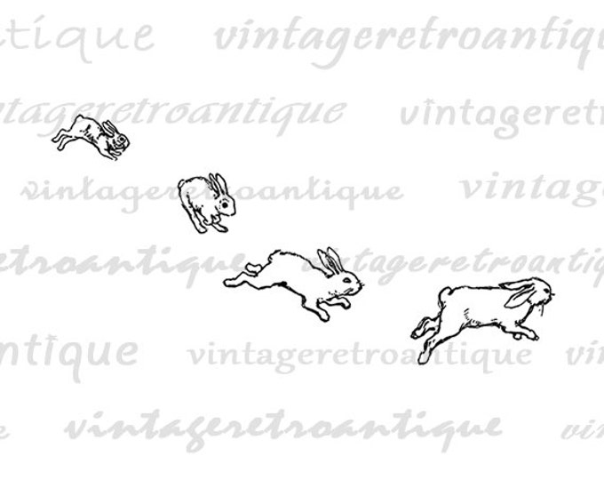Printable Rabbits Graphic Jumping Rabbits Digital Image Cute Bunny Download Easter Spring Digital Bunny Image Jpg Png Eps HQ 300dpi No.551