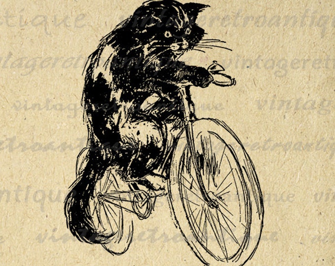 Printable Image Cat Riding Bicycle Digital Download Graphic Antique Clip Art Jpg Png Eps HQ 300dpi No.1851