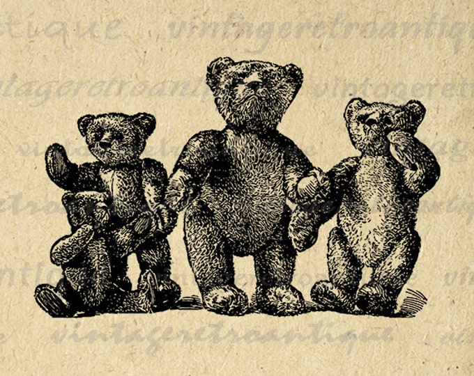 Digital Graphic Teddy Bears Printable Illustration Download Image Vintage Clip Art Jpg Png Eps HQ 300dpi No.1189