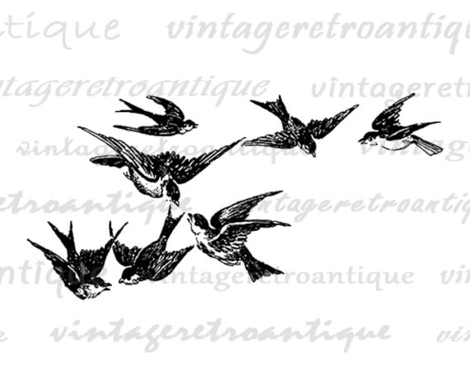 Digital Flying Birds Image Printable Graphic Bird Illustration Download Vintage Clip Art Jpg Png Eps HQ 300dpi No.3671