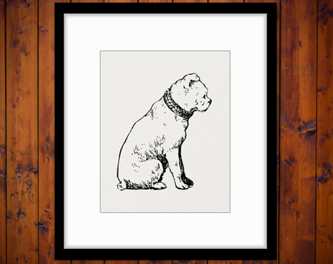 Cute Dog Digital Graphic Printable Antique Image Download Vintage Clip Art Jpg Png Eps HQ 300dpi No.284