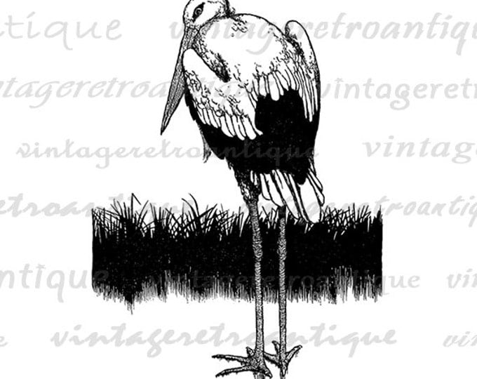 Digital Printable Stork Graphic Illustration Download Bird Image Antique Clip Art Jpg Png Eps HQ 300dpi No.3856