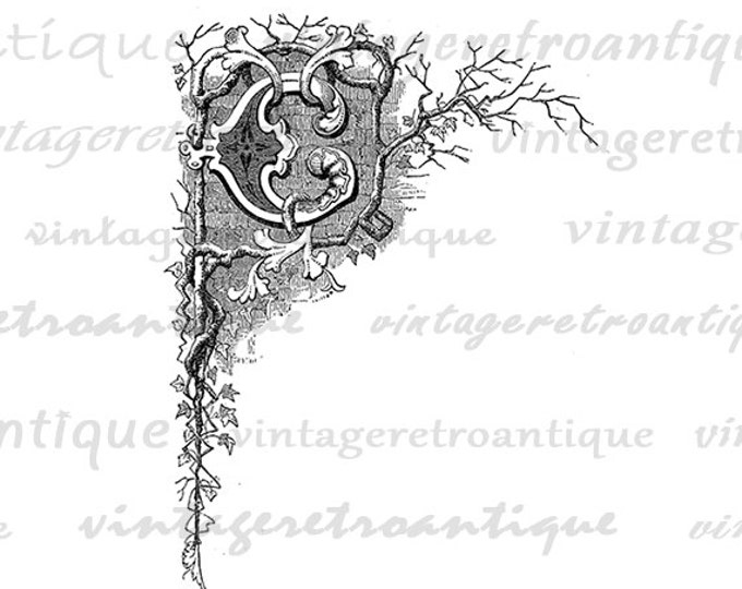 Letter C Digital Graphic Image Floral Vine Leaf Printable Download Jpg Png Eps HQ 300dpi No.761