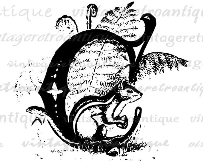 Printable Letter C with Chipmunk Digital Graphic Animal Letter Download Chipmunk Image Vintage Clip Art for Transfers etc HQ 300dpi No.4703