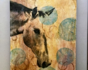 Circus Pony