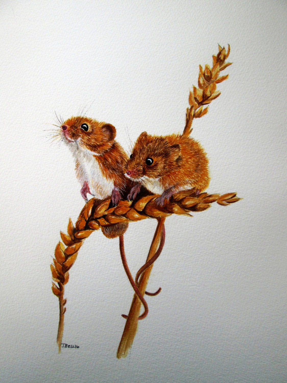 Original watercolour painting of Harvest Mice by Josephine