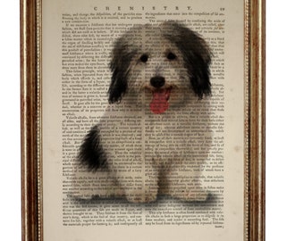 Coton De Tulear Dog Dictionary Art Print, Small White Dog Art Print, Dogs Breeds illustration Dictionary Book Page, Wall Décor
