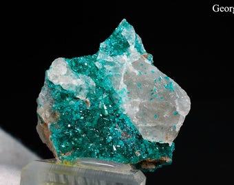 Dioptase from Namibia Natural Rough Crystal Mineral Specimen *FREE SHIPPING*