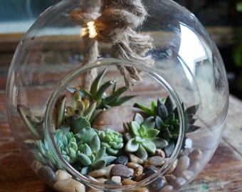 Large Glass Globe Succulent Terrarium Garden