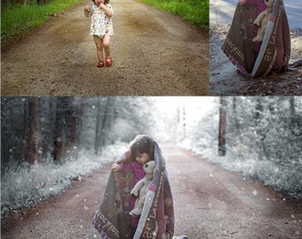 Winterizing Action and Snow Overlay bundle for Photoshop