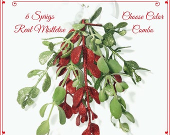 Hanging Mistletoe Bunch, Christmas Greenery Decor, Winter Wonderland, Xmas Party, Gift Wrap Accent, DIY Fireplace Mantle, Natural Ornament