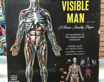 The Visible Man: A Science Assembly Project