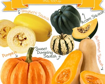 Watercolor Pumpkin Clipart and Squash Clip Art • Watercolor Vegetables Clipart • Fall Clipart • Scrapcooking • Thanksgiving Clipart