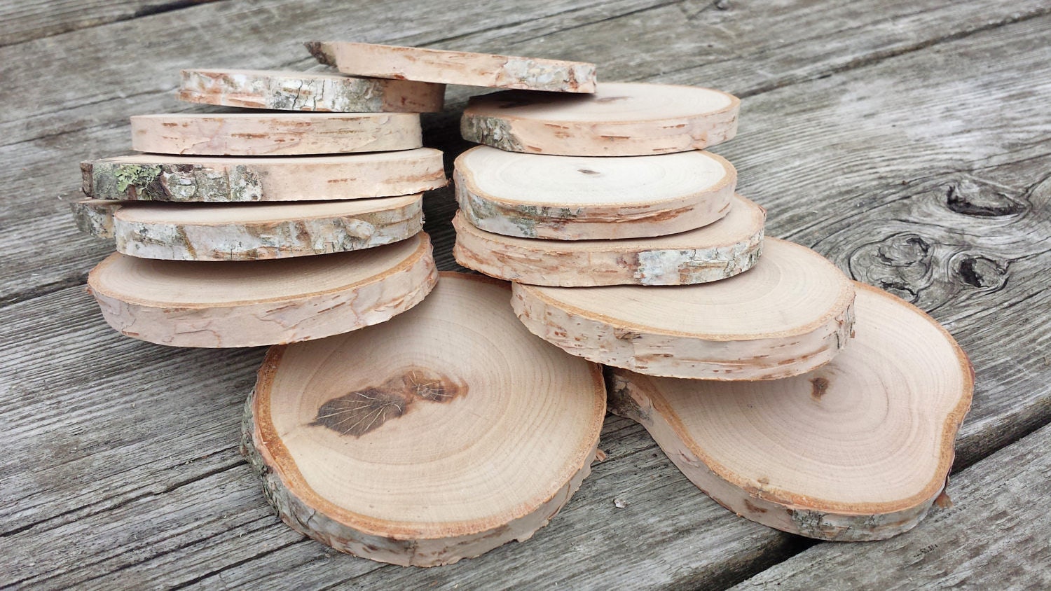 12 White Birch Wood Slices Hand Cut and Sanded by rachaelsscraps