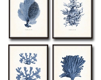 Vintage Indigo Blue Sea Coral Print Set No. 2, Giclee, Art Print, Nautical Art, Beach Decor, Coastal Decor, Coral Prints, Sea Life Prints