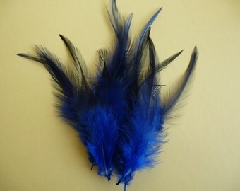 Saphire blue feathers. dyed rooster feathers. 3-5inches. 8-13cm hatmaking, cardmaking, scrapbook, millinery