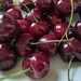 justsnack