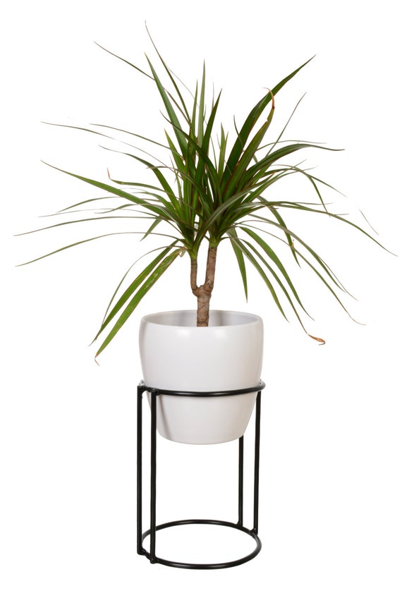  Plant  Stand LYLLY Minimalistic Elegant Modern 