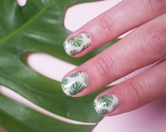 Monstera Deliciosa Nail Decals: Cheese Plant, Tropical, Botanical, Leaves, Leaf, Gardening