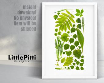 Plants leaf print, green wall art home decor, botanical poster, living room wall decor, large plant, digital download art print, leaves art