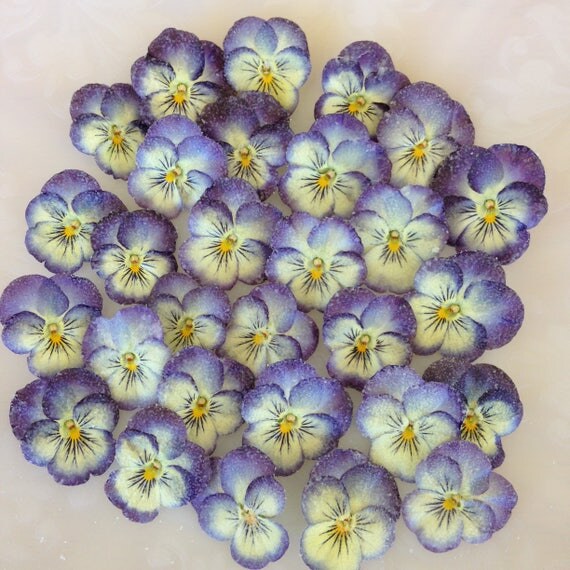 24 Edible Candied Pansies Crystallized Real Pansy Flowers